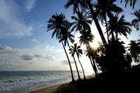 Strand in Ghana